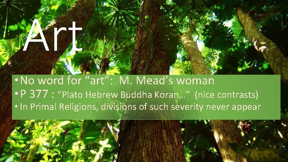 Art • No word for “art”: M. Mead’s woman • P 377 : “Plato