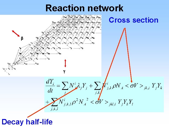 Reaction network Cross section b g Decay half-life 