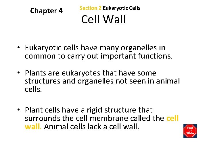 Chapter 4 Section 2 Eukaryotic Cells Bellringer What