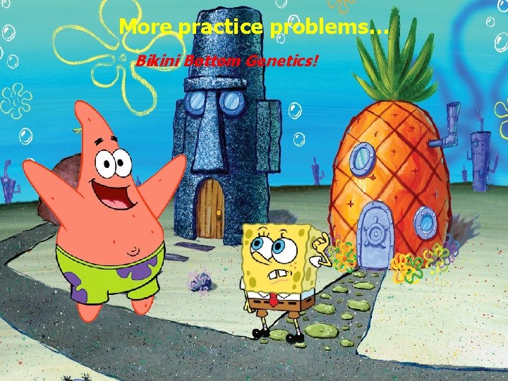 More practice problems… Bikini Bottom Genetics! 