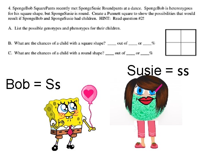 Bob = Ss Susie = ss 