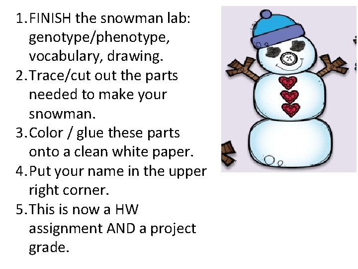 1. FINISH the snowman lab: genotype/phenotype, vocabulary, drawing. 2. Trace/cut out the parts needed