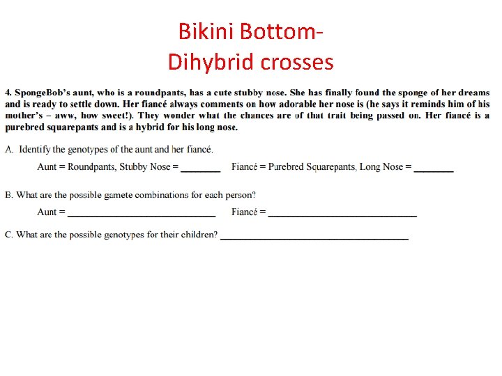 Bikini Bottom. Dihybrid crosses 