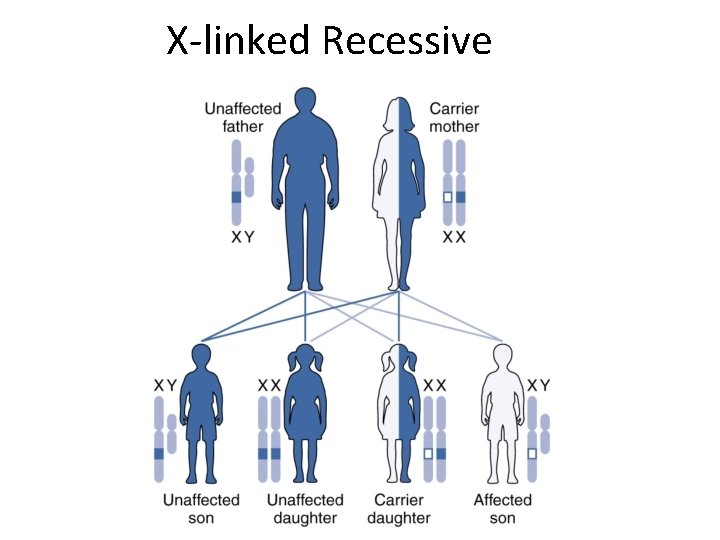 X-linked Recessive 