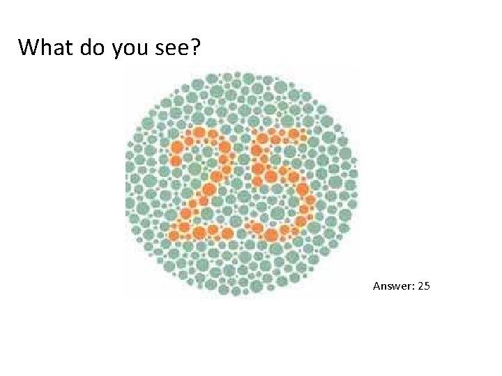 What do you see? Answer: 25 