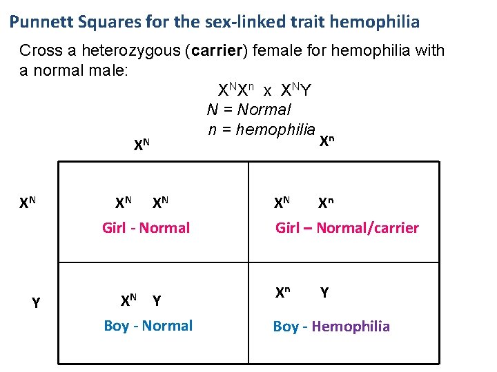 Punnett Squares for the sex-linked trait hemophilia Cross a heterozygous (carrier) female for hemophilia
