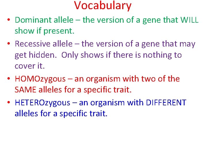 Vocabulary • Dominant allele – the version of a gene that WILL show if
