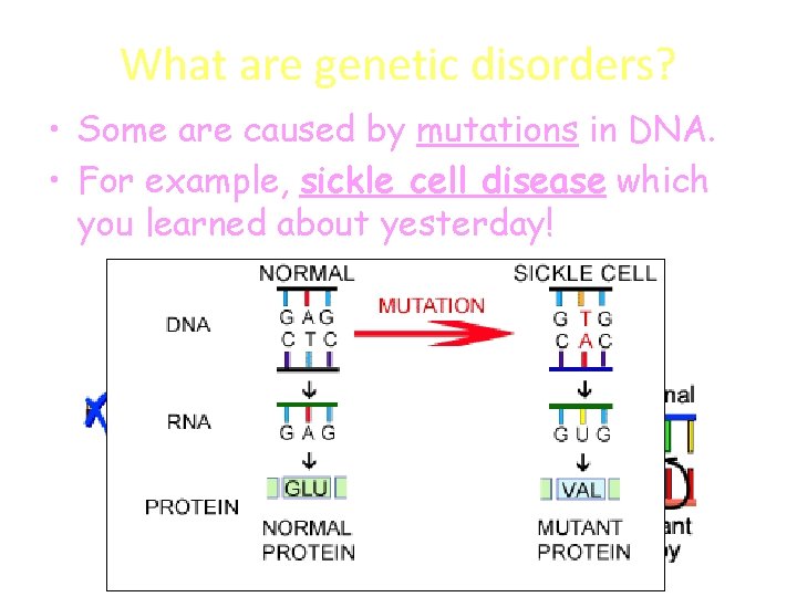 What are genetic disorders? • Some are caused by mutations in DNA. • For