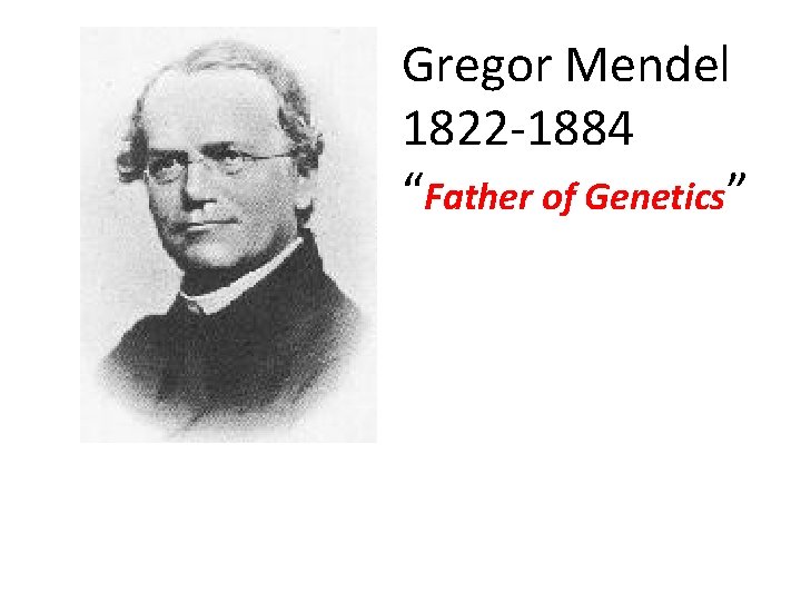 Gregor Mendel 1822 -1884 “Father of Genetics” 