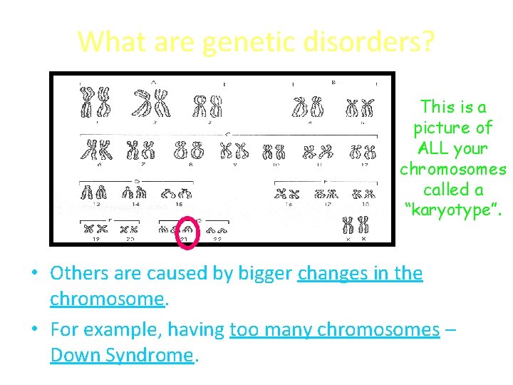 What are genetic disorders? This is a picture of ALL your chromosomes called a