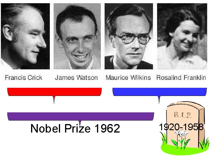 Nobel Prize 1962 1920 -1958 