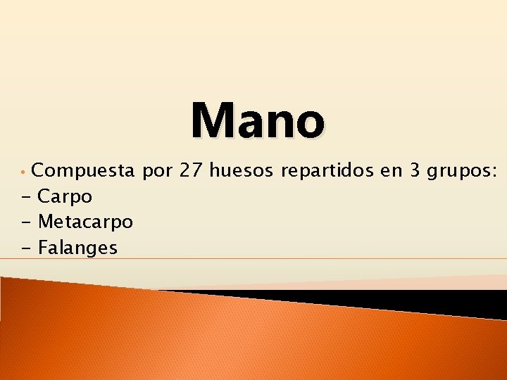 Mano Compuesta por 27 huesos repartidos en 3 grupos: - Carpo - Metacarpo -