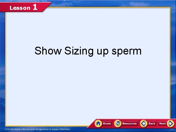 Lesson 1 Show Sizing up sperm 