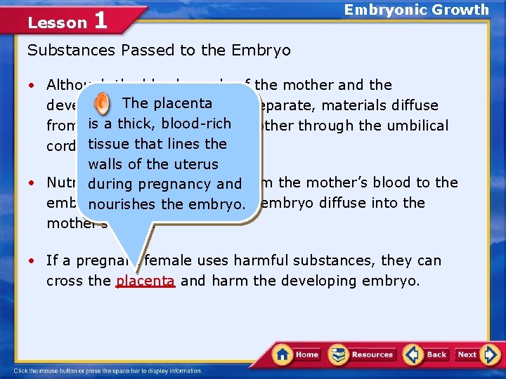 Lesson 1 Embryonic Growth Substances Passed to the Embryo • Although the blood supply