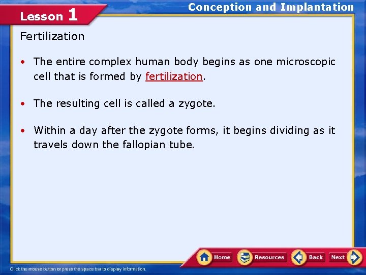 Lesson 1 Conception and Implantation Fertilization • The entire complex human body begins as