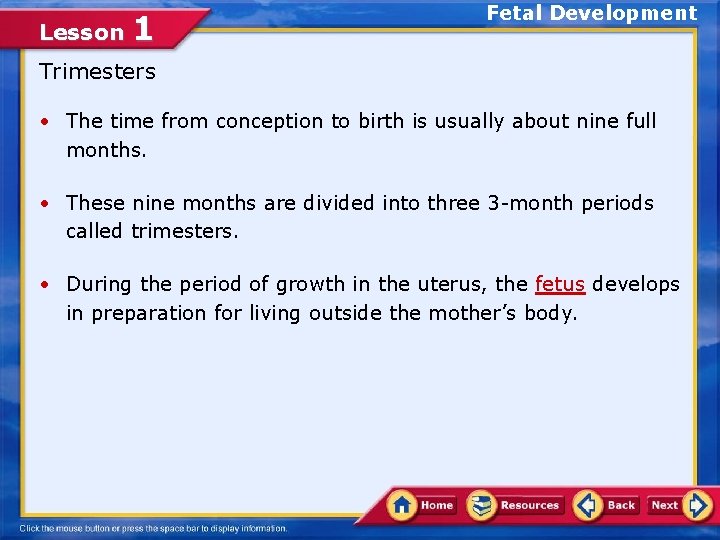 Lesson 1 Fetal Development Trimesters • The time from conception to birth is usually