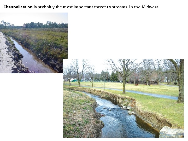 Channelization is probably the most important threat to streams in the Midwest 