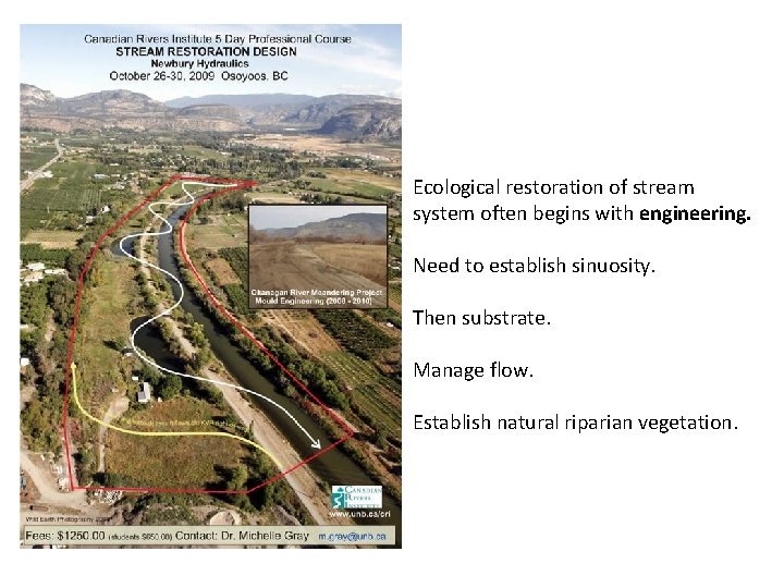 Ecological restoration of stream system often begins with engineering. Need to establish sinuosity. Then
