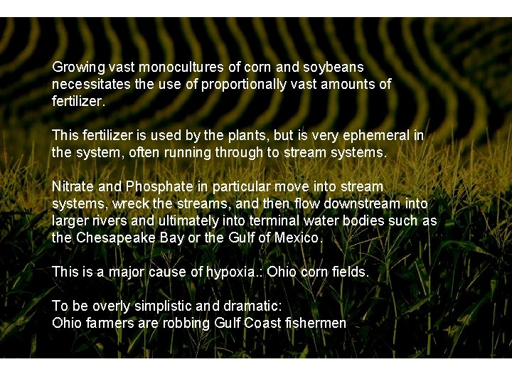 Growing vast monocultures of corn and soybeans necessitates the use of proportionally vast amounts