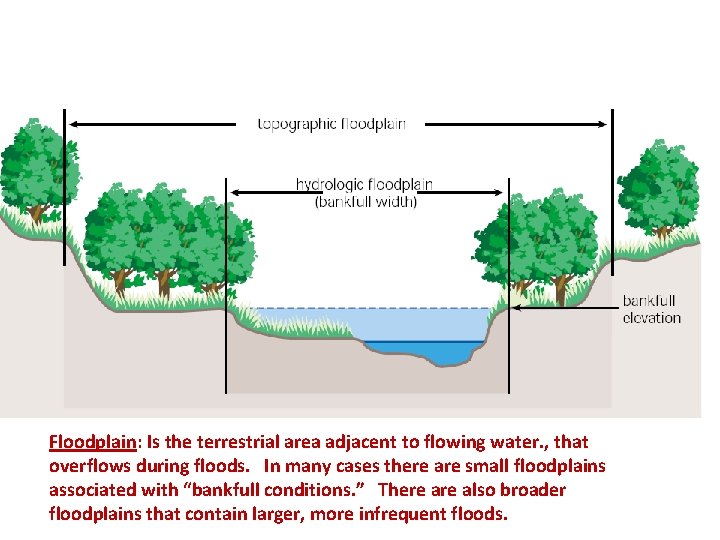 Floodplain: Is the terrestrial area adjacent to flowing water. , that overflows during floods.