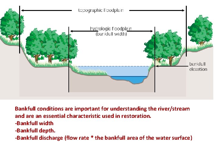 Bankfull conditions are important for understanding the river/stream and are an essential characteristic used