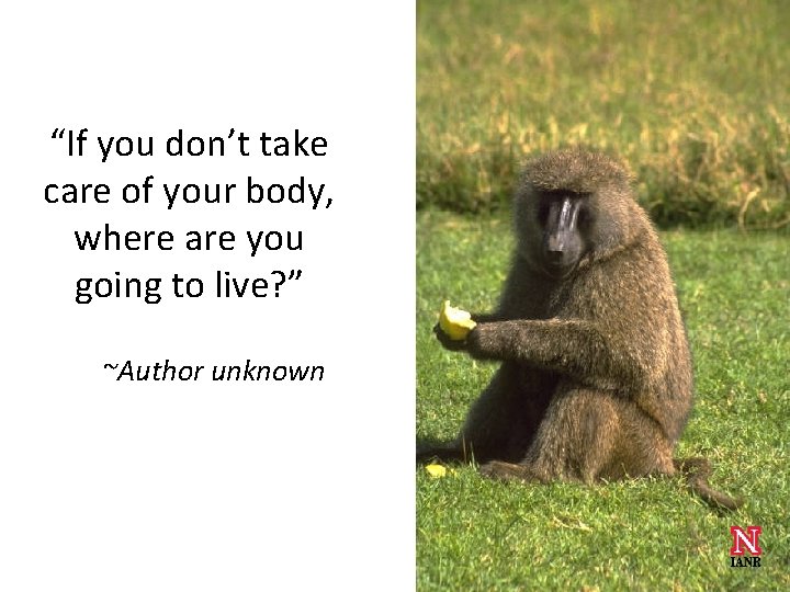 “If you don’t take care of your body, where are you going to live?
