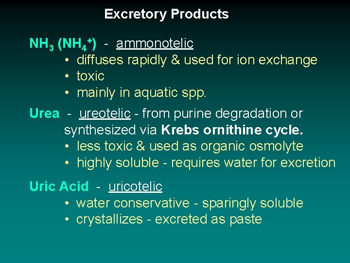 Excretory Products NH 3 (NH 4+) - ammonotelic • diffuses rapidly & used for