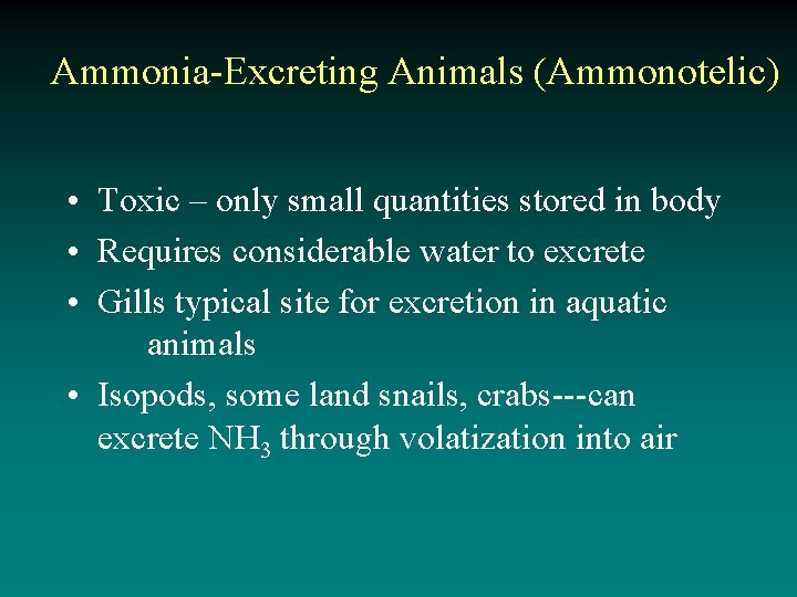 Ammonia-Excreting Animals (Ammonotelic) • Toxic – only small quantities stored in body • Requires