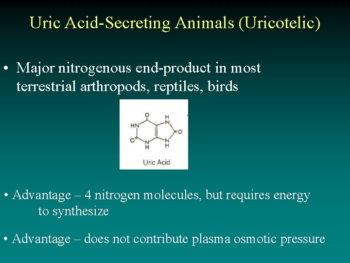 Uric Acid-Secreting Animals (Uricotelic) • Major nitrogenous end-product in most terrestrial arthropods, reptiles, birds