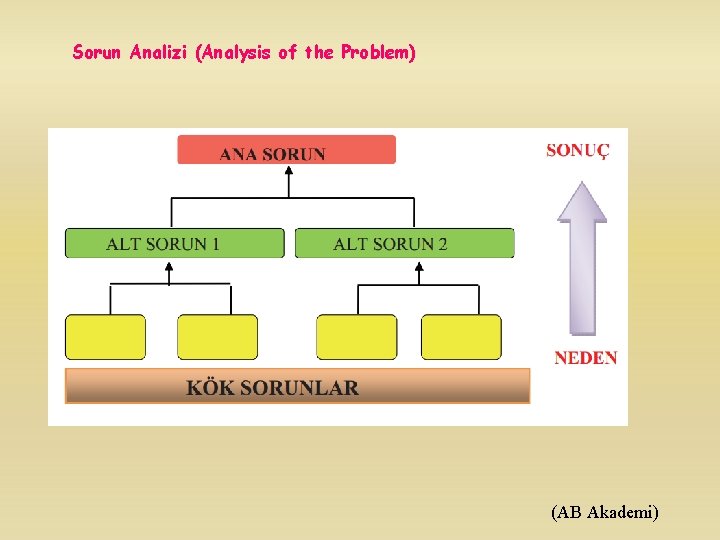 Sorun Analizi (Analysis of the Problem) (AB Akademi) 
