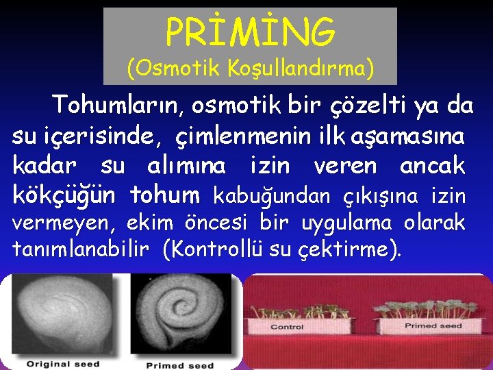 PRİMİNG (Osmotik Koşullandırma) Tohumların, osmotik bir çözelti ya da su içerisinde, çimlenmenin ilk aşamasına