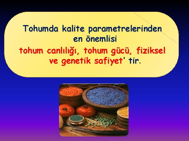 Tohumda kalite parametrelerinden en önemlisi tohum canlılığı, tohum gücü, fiziksel ve genetik safiyet’ tir.