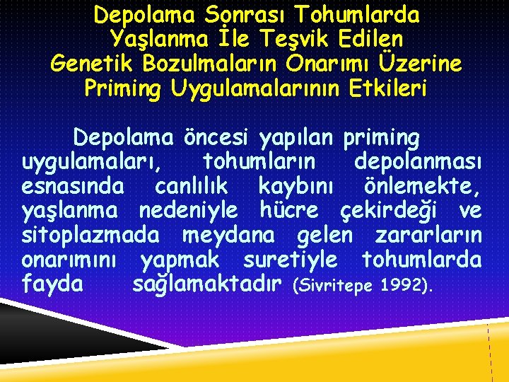 Depolama Sonrası Tohumlarda Yaşlanma İle Teşvik Edilen Genetik Bozulmaların Onarımı Üzerine Priming Uygulamalarının Etkileri