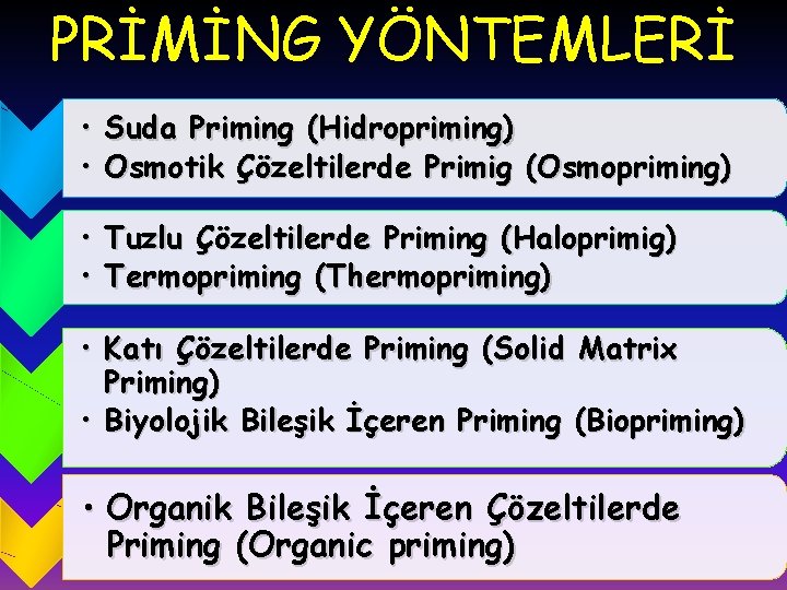 PRİMİNG YÖNTEMLERİ • Suda Priming (Hidropriming) • Osmotik Çözeltilerde Primig (Osmopriming) • Tuzlu Çözeltilerde