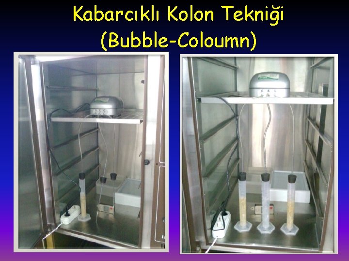 Kabarcıklı Kolon Tekniği (Bubble-Coloumn) 