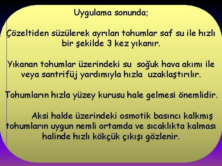 Uygulama sonunda; Çözeltiden süzülerek ayrılan tohumlar saf su ile hızlı bir şekilde 3 kez