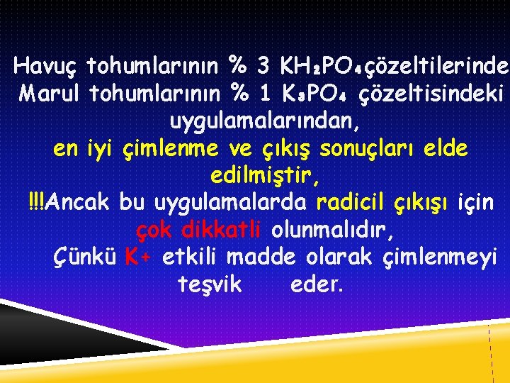 Havuç tohumlarının % 3 KH₂PO₄çözeltilerinde, Marul tohumlarının % 1 K₃PO₄ çözeltisindeki uygulamalarından, en iyi