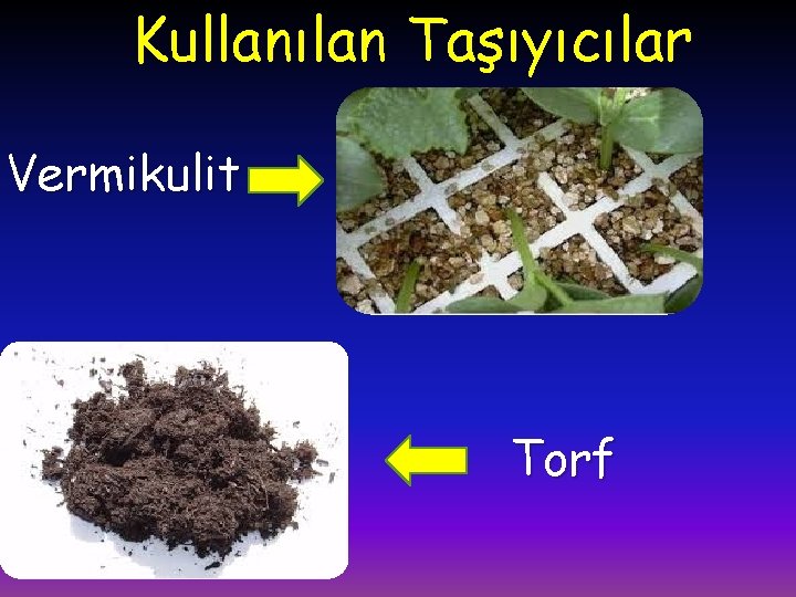 Kullanılan Taşıyıcılar Vermikulit Torf 