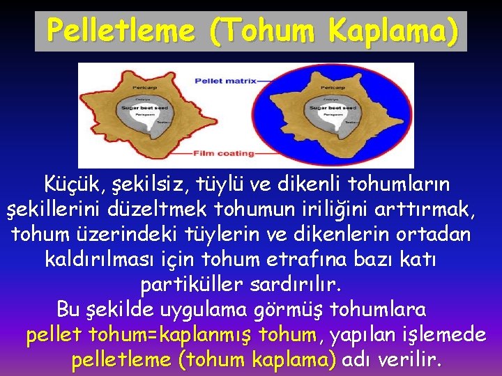 Pelletleme (Tohum Kaplama) Küçük, şekilsiz, tüylü ve dikenli tohumların şekillerini düzeltmek tohumun iriliğini arttırmak,