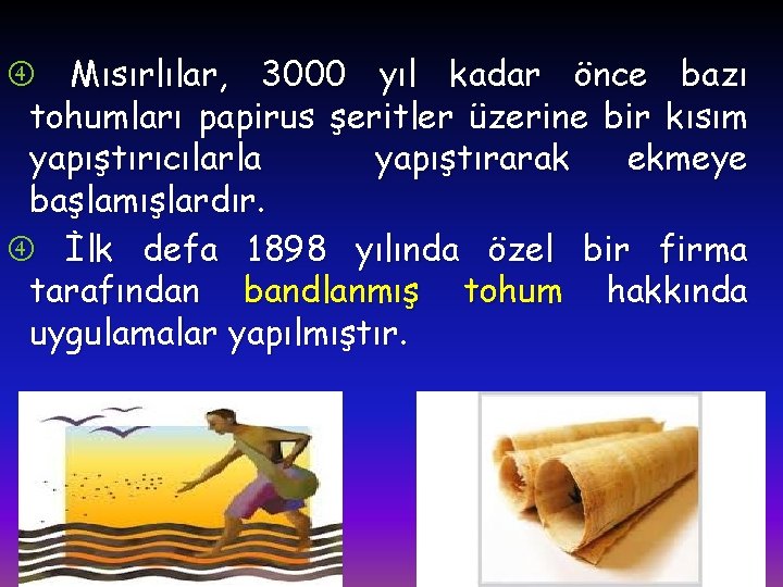  Mısırlılar, 3000 yıl kadar önce bazı tohumları papirus şeritler üzerine bir kısım yapıştırıcılarla