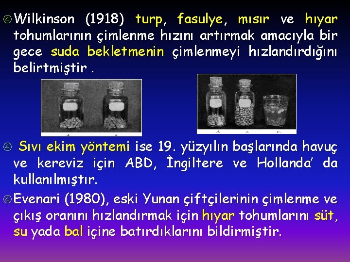  Wilkinson (1918) turp, fasulye, mısır ve hıyar tohumlarının çimlenme hızını artırmak amacıyla bir