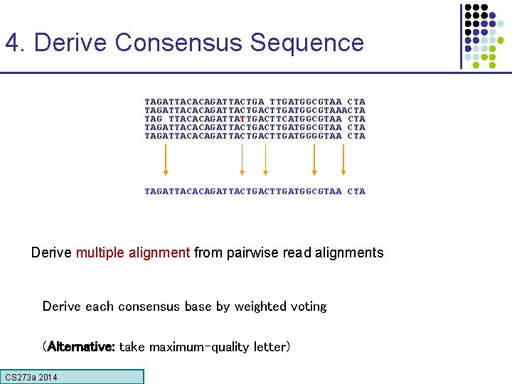 4. Derive Consensus Sequence TAGATTACACAGATTACTGA TTGATGGCGTAA CTA TAGATTACACAGATTACTGACTTGATGGCGTAAACTA TAG TTACACAGATTATTGACTTCATGGCGTAA CTA TAGATTACACAGATTACTGACTTGATGGGGTAA CTA TAGATTACACAGATTACTGACTTGATGGCGTAA