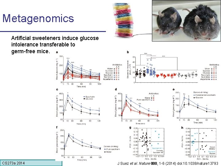 Metagenomics Artificial sweeteners induce glucose intolerance transferable to germ-free mice. CS 273 a Lecture