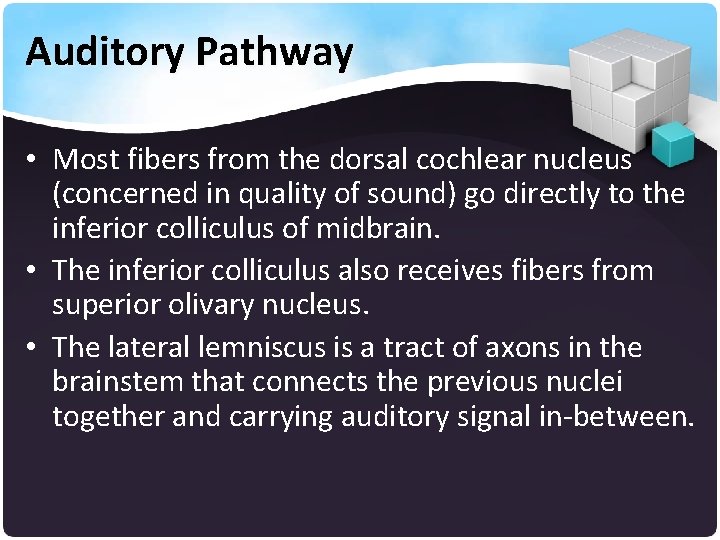 Auditory Pathway • Most fibers from the dorsal cochlear nucleus (concerned in quality of