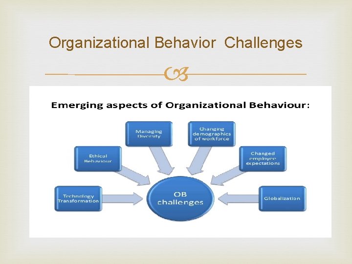 Organizational Behavior Challenges 