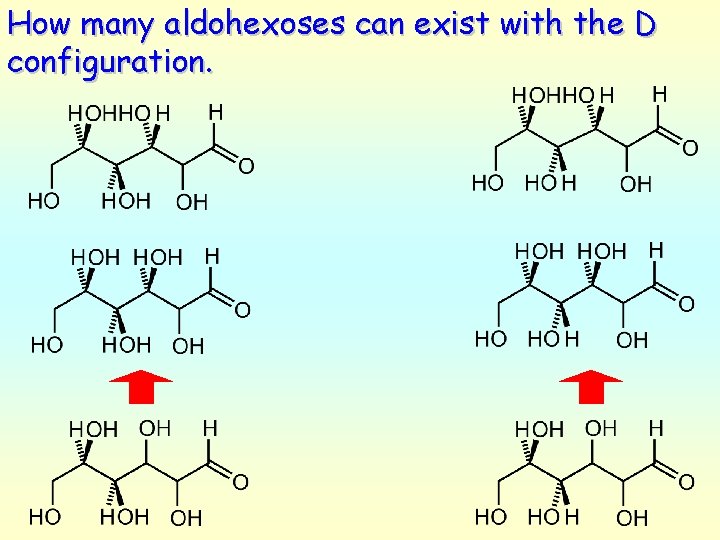 How many aldohexoses can exist with the D configuration. 