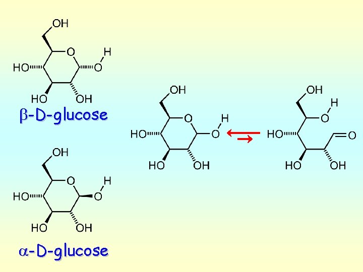 b-D-glucose a-D-glucose 