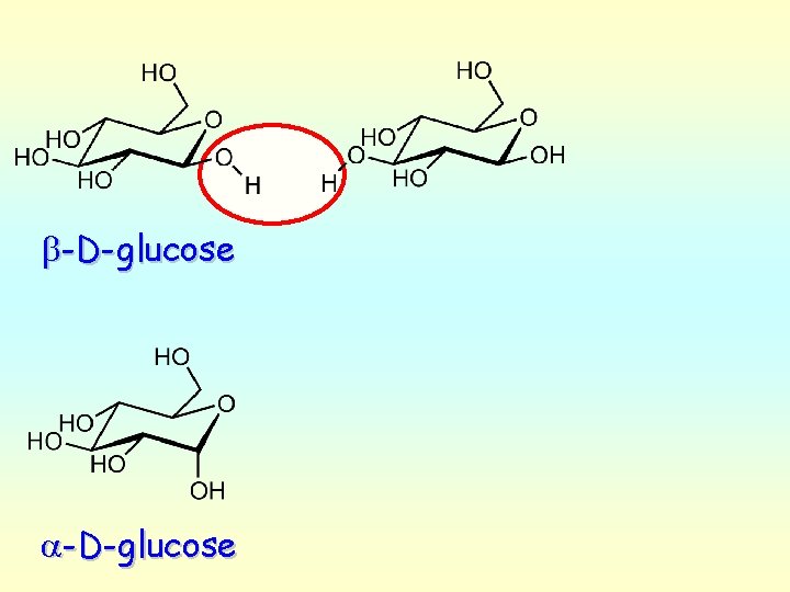 b-D-glucose a-D-glucose 