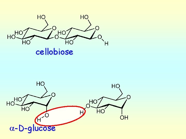 cellobiose a-D-glucose 