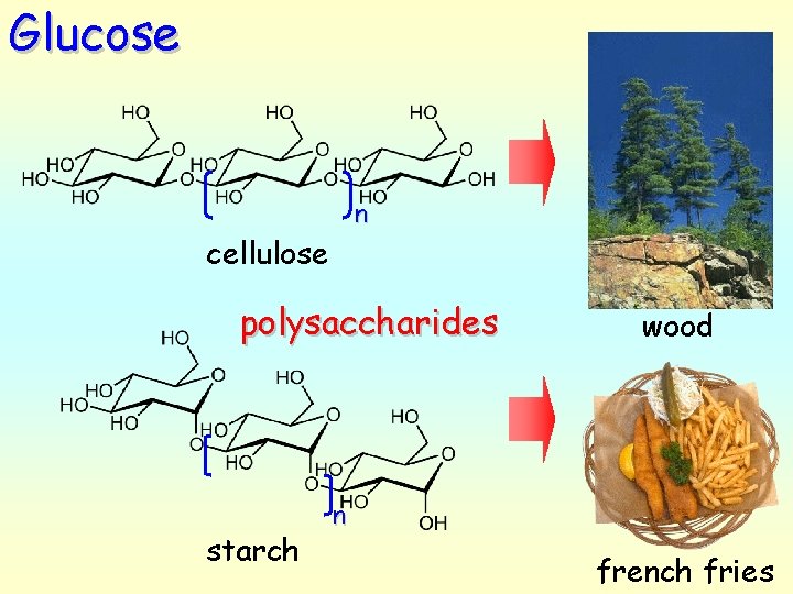 Glucose n cellulose polysaccharides starch wood n french fries 
